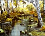 Australian Bush - 乔治·菲利普斯